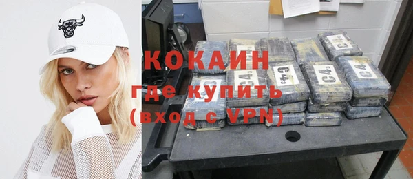 шишки Армянск