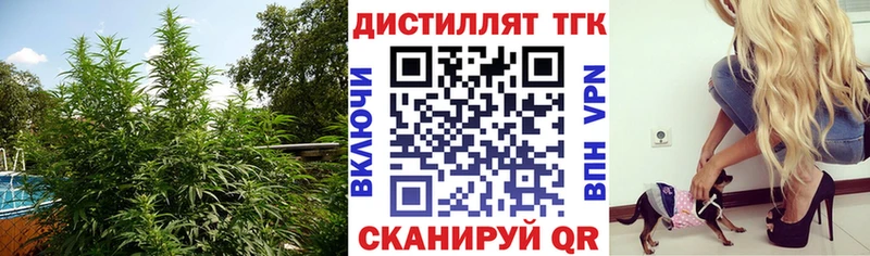 ТГК гашишное масло Рубцовск
