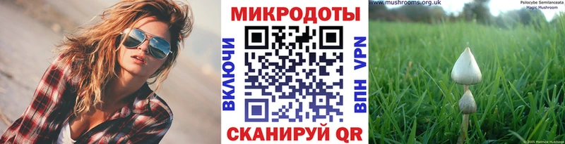 Псилоцибиновые грибы Psilocybe дарнет шоп Рубцовск