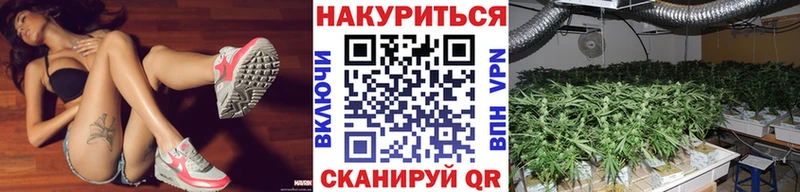 Бошки марихуана THC 21% Рубцовск